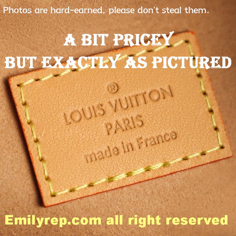 Louis Vuitton M81098 Half-Moon Baguette Loop Handbag