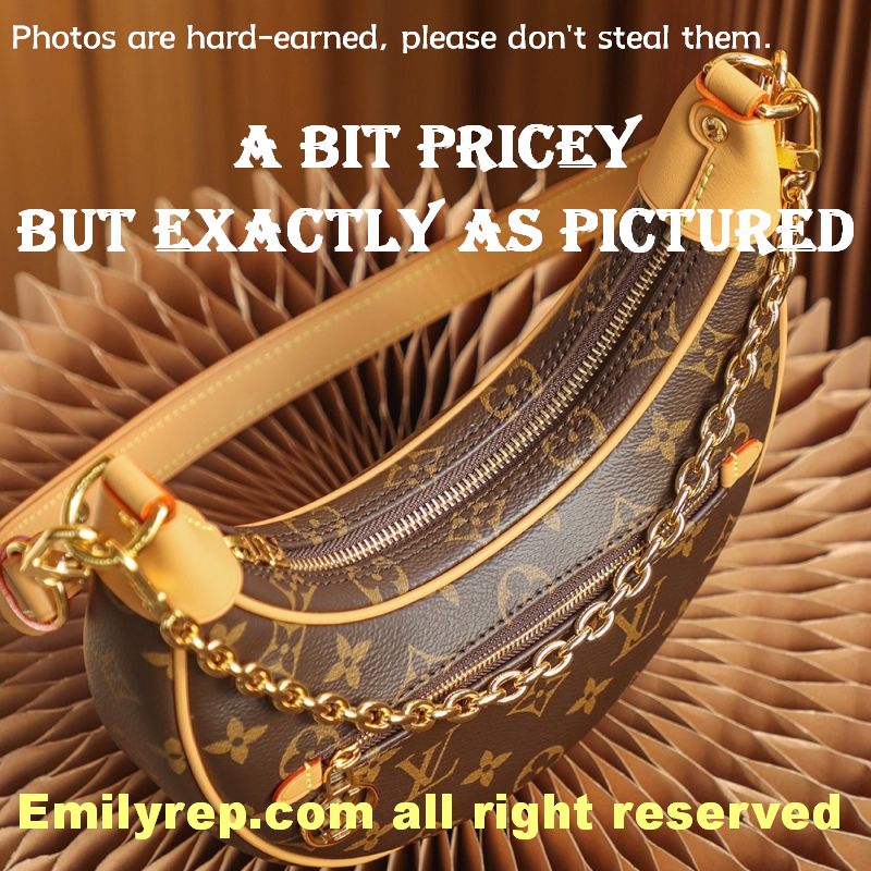 Louis Vuitton M81098 Half-Moon Baguette Loop Handbag