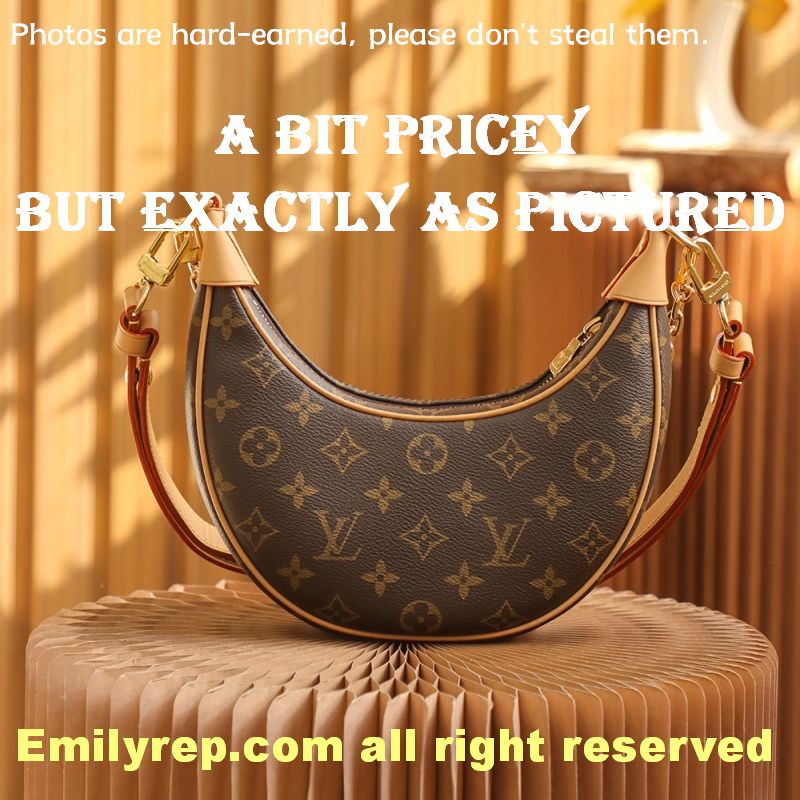 Louis Vuitton M81098 Half-Moon Baguette Loop Handbag
