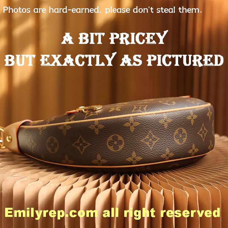 Louis Vuitton M81098 Half-Moon Baguette Loop Handbag