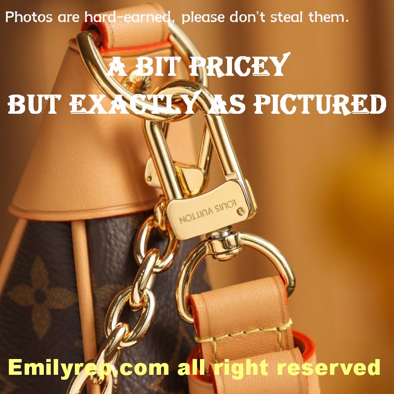Louis Vuitton M81098 Half-Moon Baguette Loop Handbag