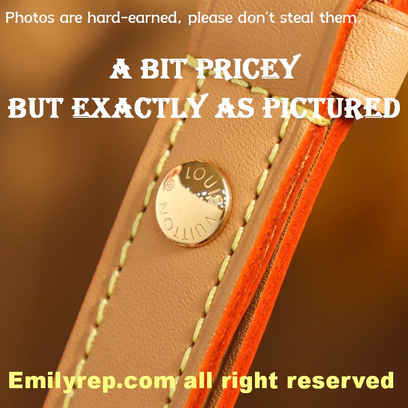 Louis Vuitton M81098 Half-Moon Baguette Loop Handbag