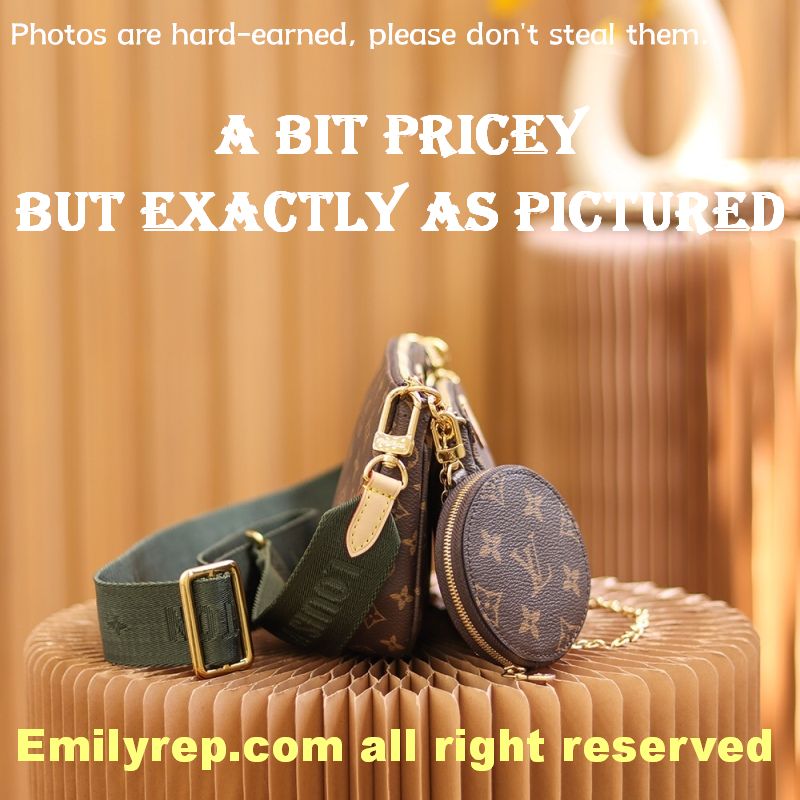 Louis Vuitton M44813 Multi Pochette Accessoires Hybrid Cross-Body Bag