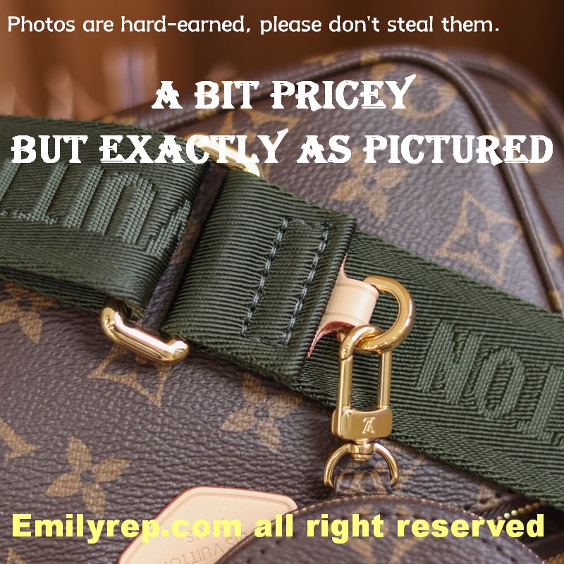 Louis Vuitton M44813 Multi Pochette Accessoires Hybrid Cross-Body Bag