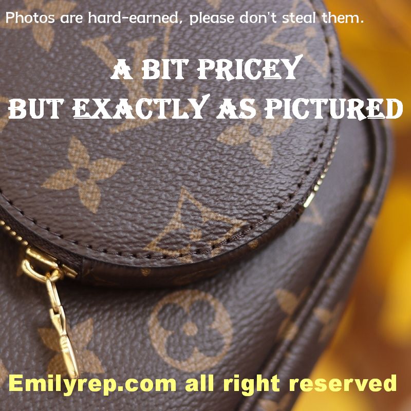 Louis Vuitton M44813 Multi Pochette Accessoires Hybrid Cross-Body Bag