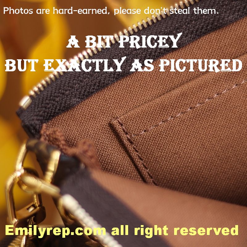 Louis Vuitton M44813 Multi Pochette Accessoires Hybrid Cross-Body Bag