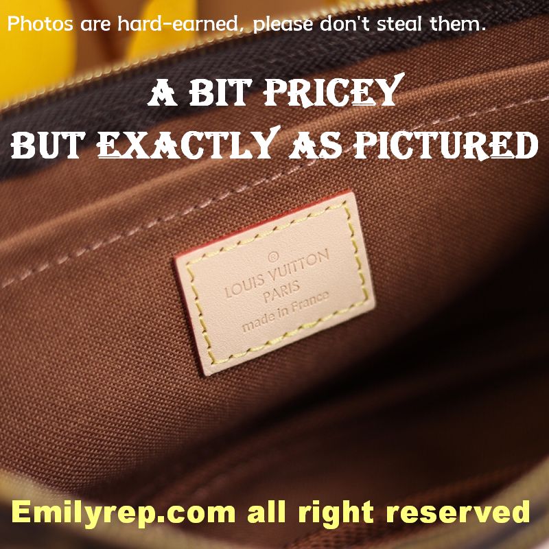 Louis Vuitton M44813 Multi Pochette Accessoires Hybrid Cross-Body Bag