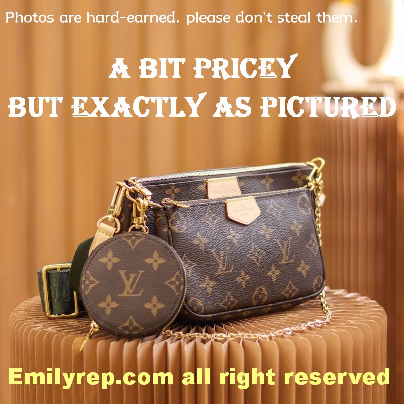 Louis Vuitton M44813 Multi Pochette Accessoires Hybrid Cross-Body Bag