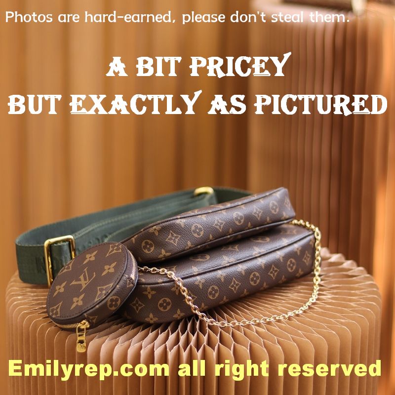 Louis Vuitton M44813 Multi Pochette Accessoires Hybrid Cross-Body Bag