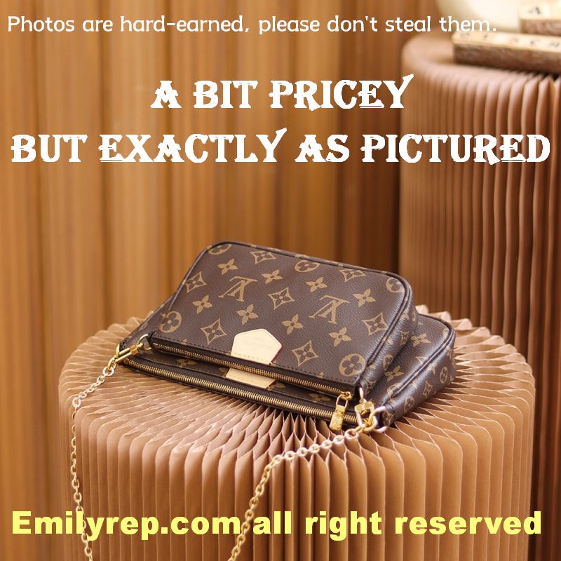 Louis Vuitton M44813 Multi Pochette Accessoires Hybrid Cross-Body Bag