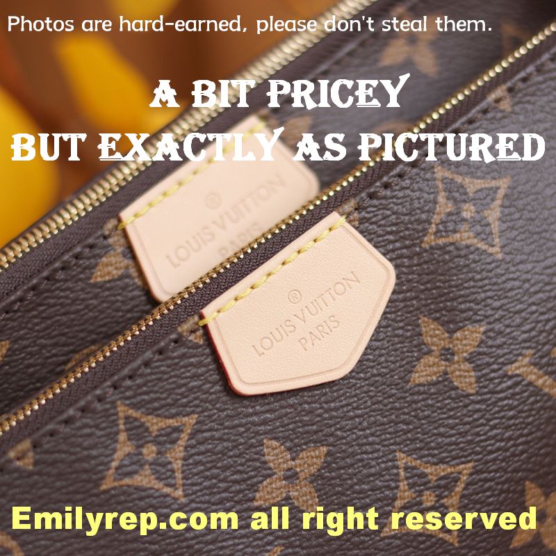 Louis Vuitton M44813 Multi Pochette Accessoires Hybrid Cross-Body Bag