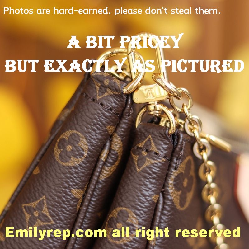 Louis Vuitton M44813 Multi Pochette Accessoires Hybrid Cross-Body Bag