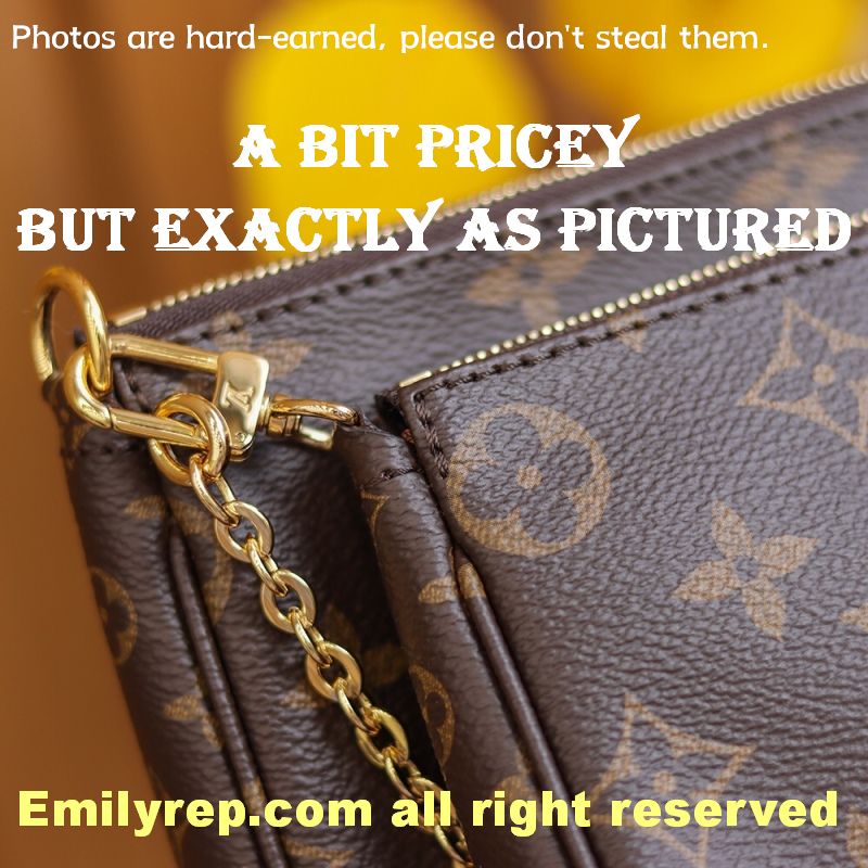 Louis Vuitton M44813 Multi Pochette Accessoires Hybrid Cross-Body Bag
