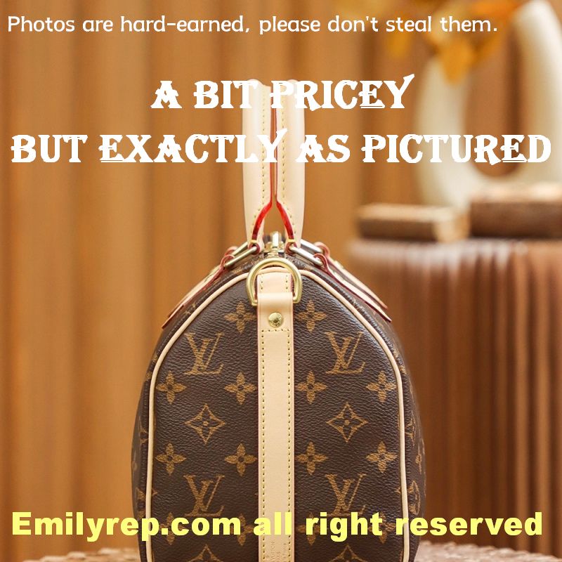 Louis Vuitton M41113 Speedy BandoulièRe 25 Bag