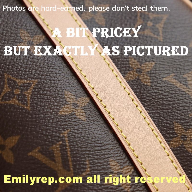 Louis Vuitton M41113 Speedy BandoulièRe 25 Bag