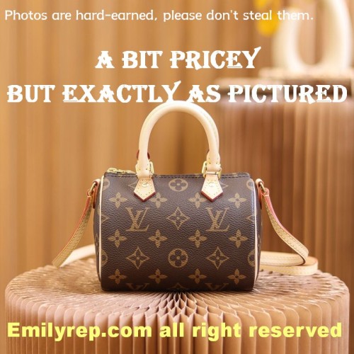 Louis Vuitton M61252 Nano Speedy Handbag