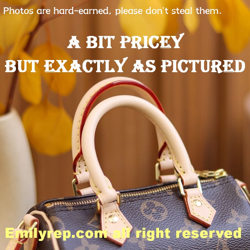 Louis Vuitton M61252 Nano Speedy Handbag