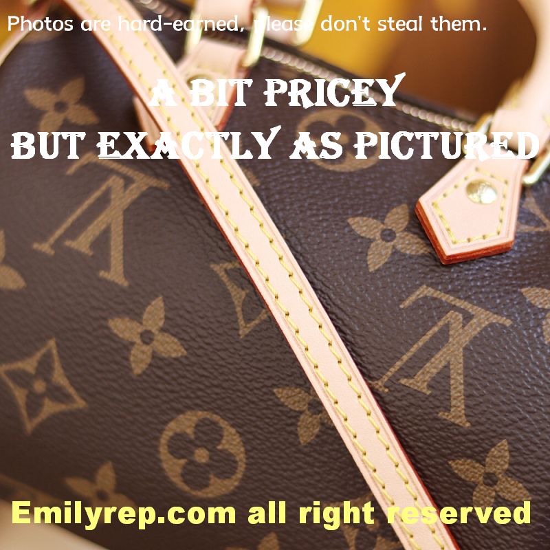 Louis Vuitton M61252 Nano Speedy Handbag