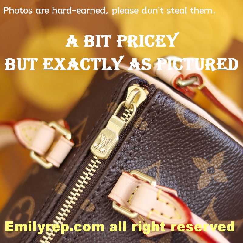 Louis Vuitton M61252 Nano Speedy Handbag