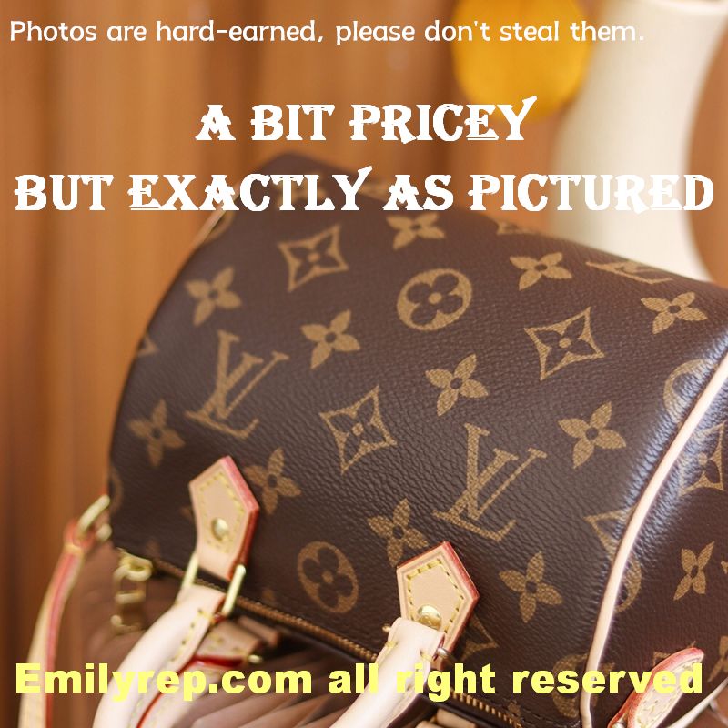 Louis Vuitton M61252 Nano Speedy Handbag