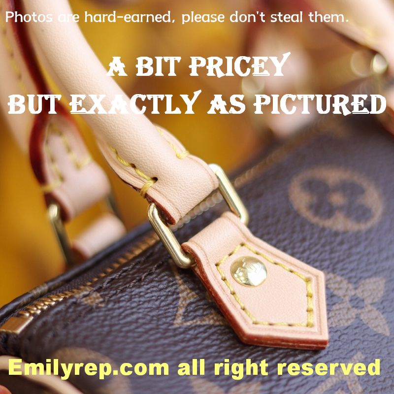Louis Vuitton M61252 Nano Speedy Handbag