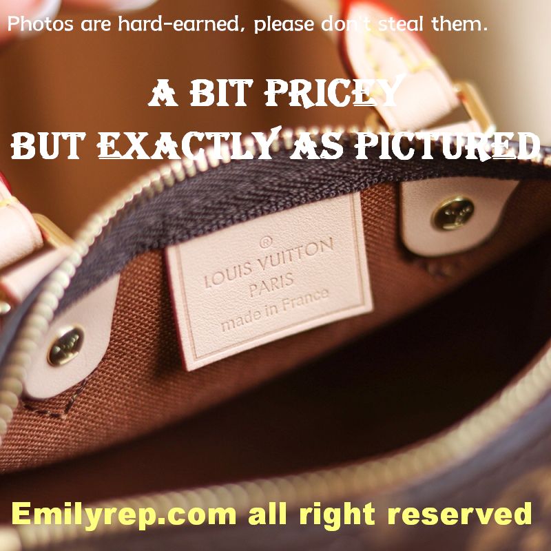 Louis Vuitton M61252 Nano Speedy Handbag