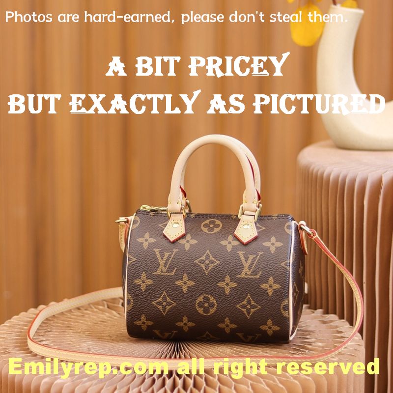 Louis Vuitton M61252 Nano Speedy Handbag