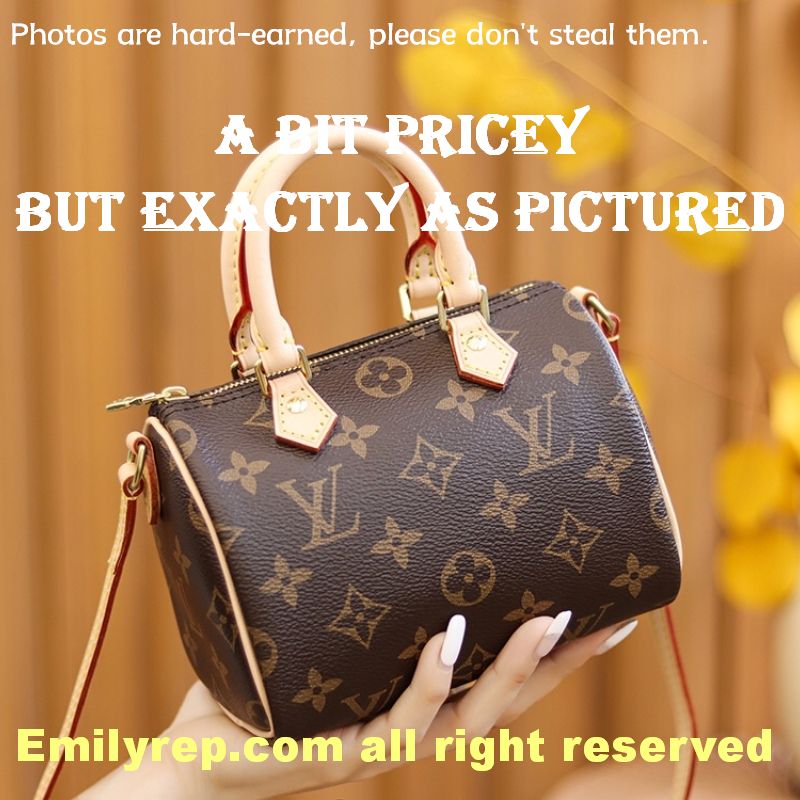 Louis Vuitton M61252 Nano Speedy Handbag