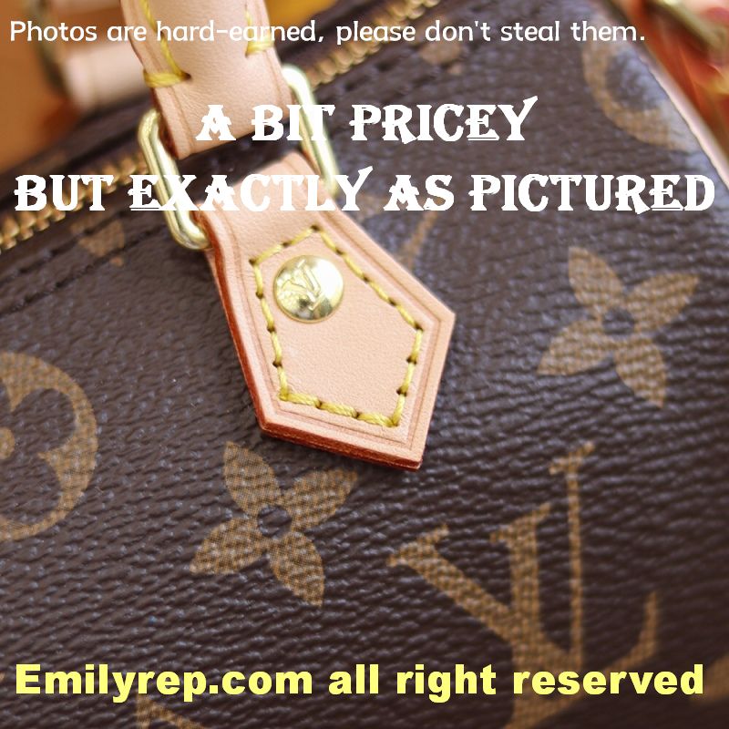 Louis Vuitton M61252 Nano Speedy Handbag