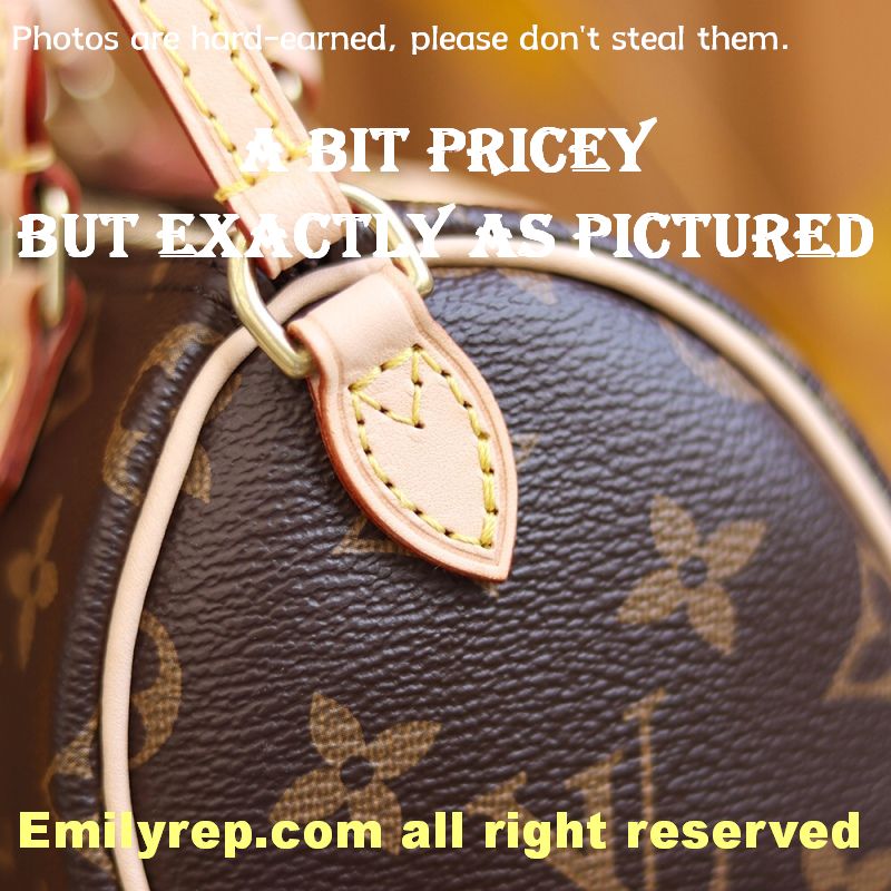 Louis Vuitton M61252 Nano Speedy Handbag