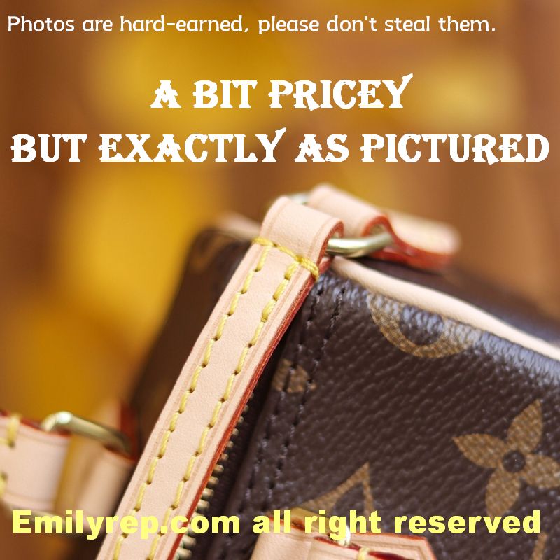Louis Vuitton M61252 Nano Speedy Handbag