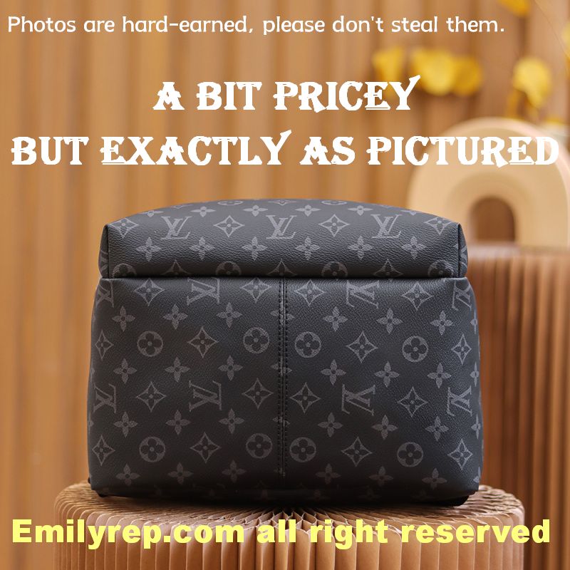 Louis Vuitton M43186 Discovery Backpack