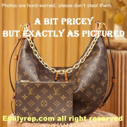Louis Vuitton M46311 Loop Hobo Bag
