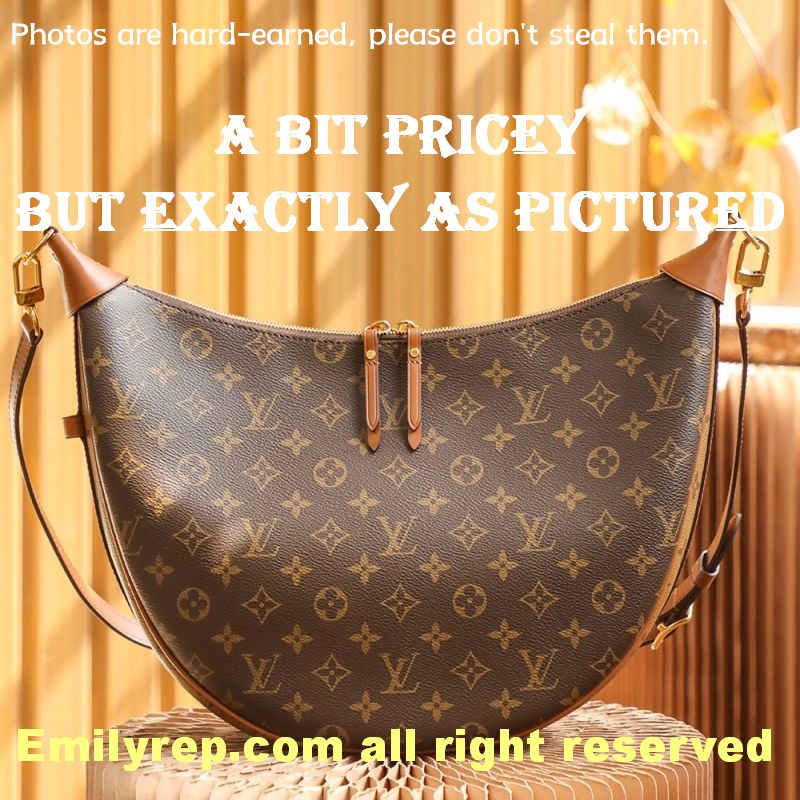 Louis Vuitton M46311 Loop Hobo Bag