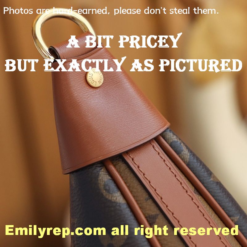 Louis Vuitton M46311 Loop Hobo Bag