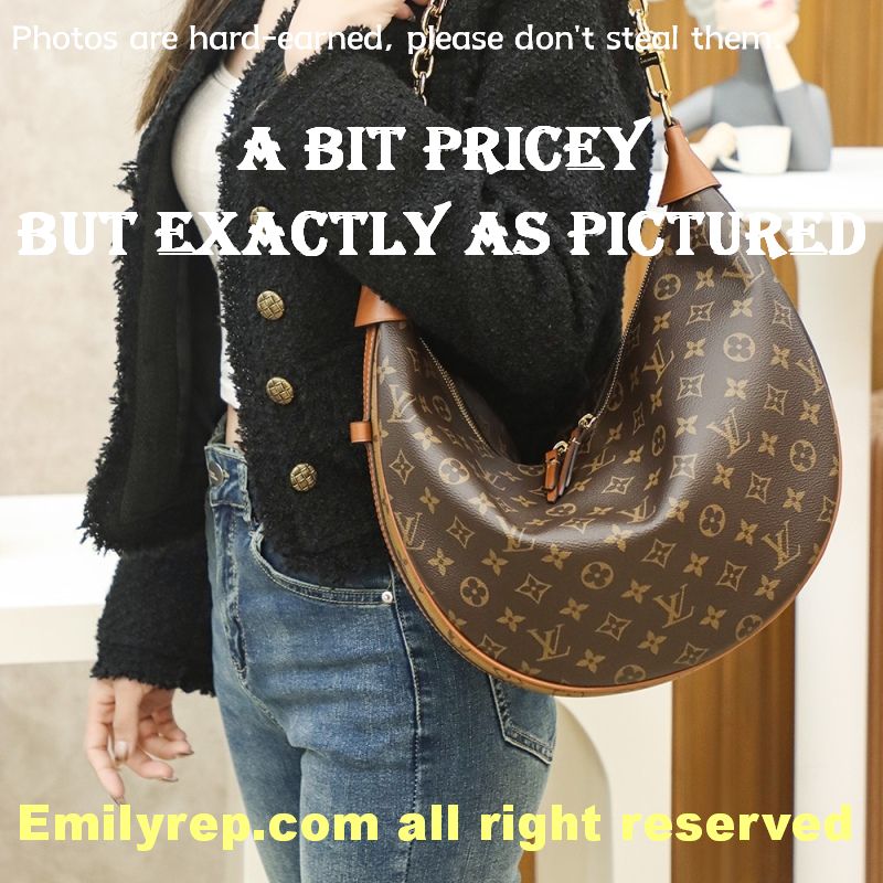 Louis Vuitton M46311 Loop Hobo Bag