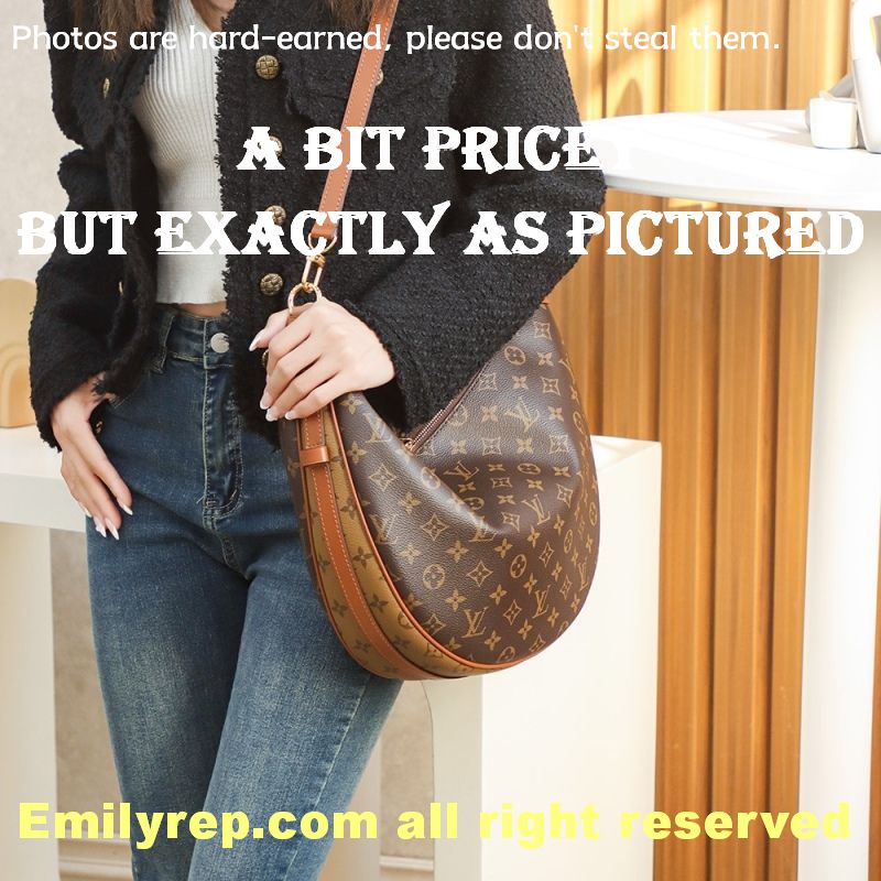 Louis Vuitton M46311 Loop Hobo Bag