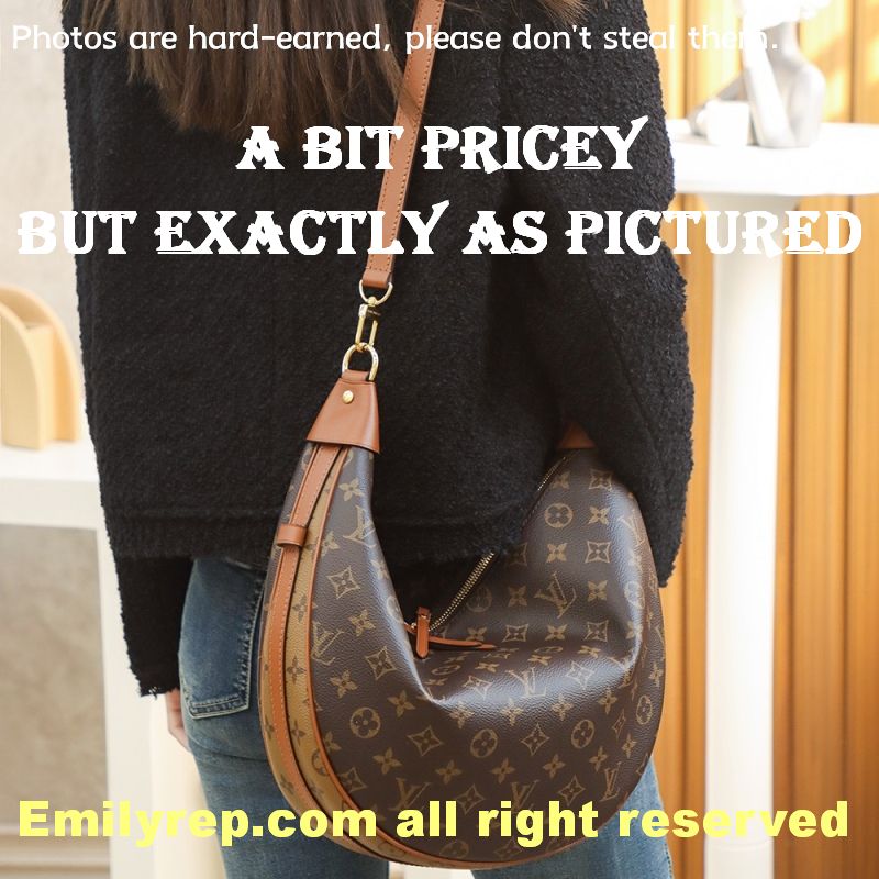 Louis Vuitton M46311 Loop Hobo Bag