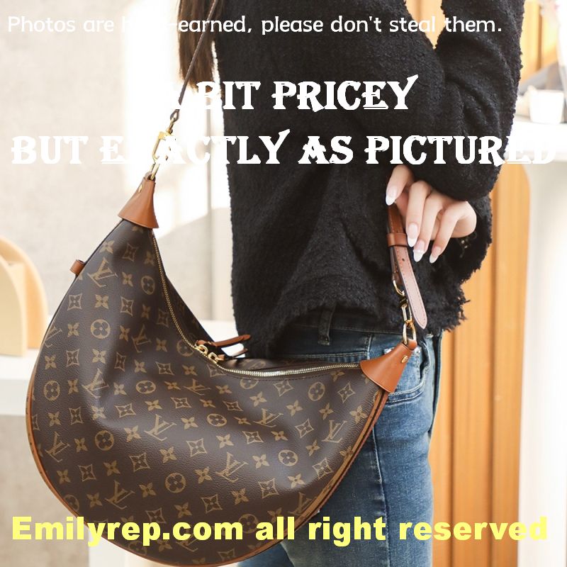 Louis Vuitton M46311 Loop Hobo Bag