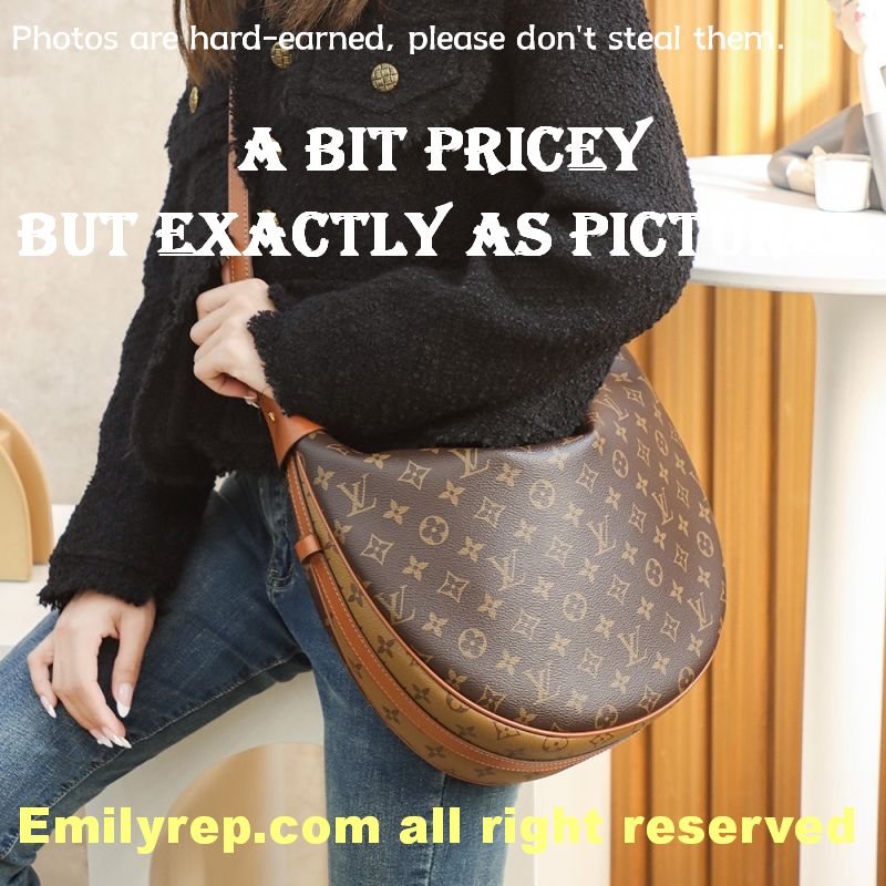 Louis Vuitton M46311 Loop Hobo Bag