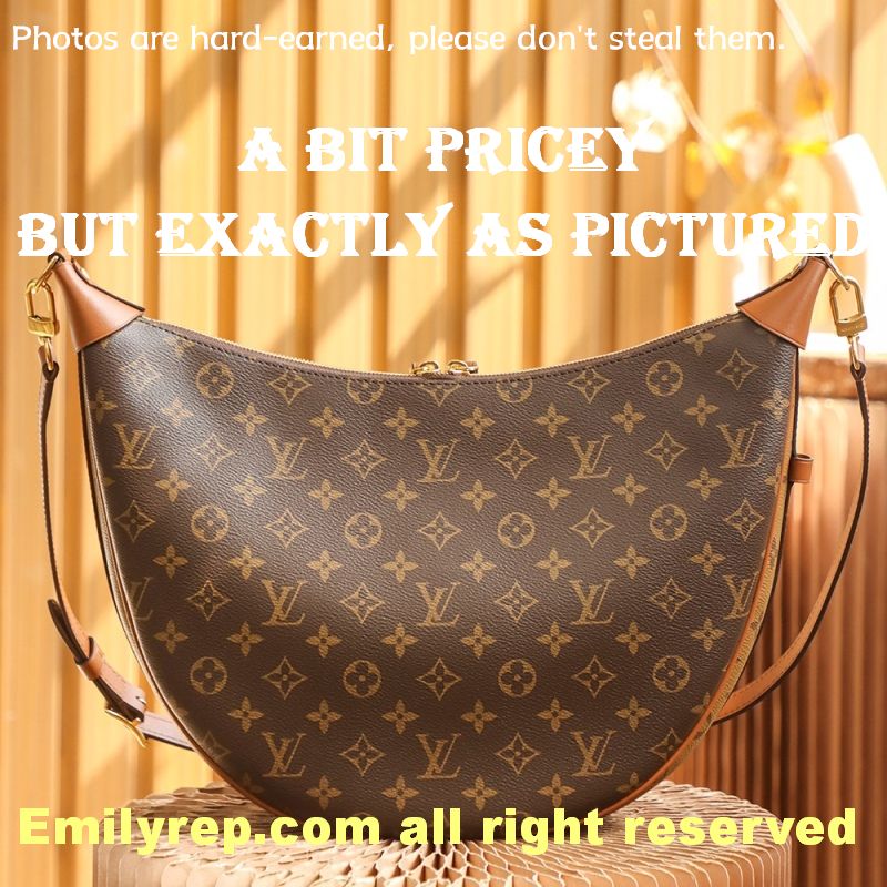 Louis Vuitton M46311 Loop Hobo Bag