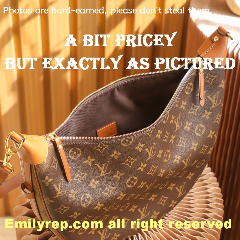 Louis Vuitton M46311 Loop Hobo Bag