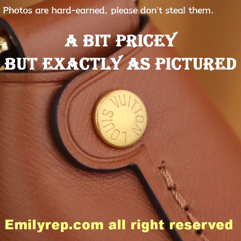 Louis Vuitton M46311 Loop Hobo Bag
