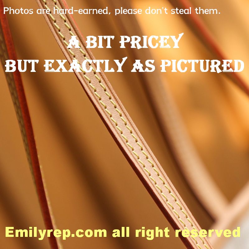 Louis Vuitton N41361 Medium Neverfull Tote Bag