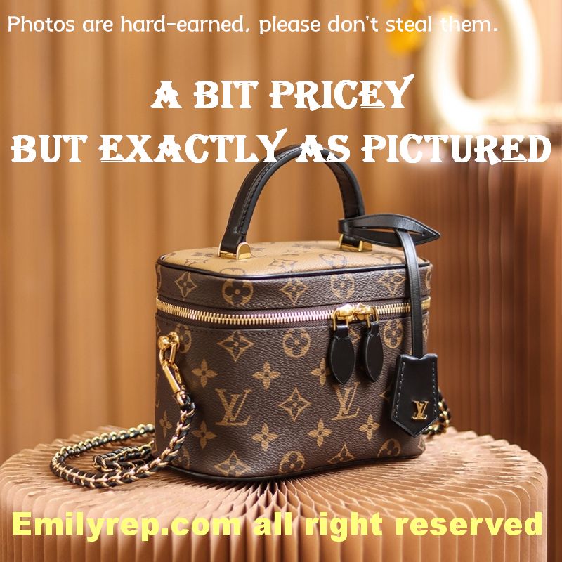 Louis Vuitton M45165 Vanity Pm Bag