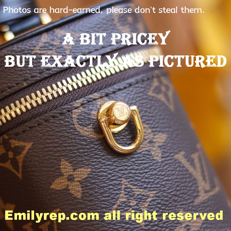 Louis Vuitton M45165 Vanity Pm Bag