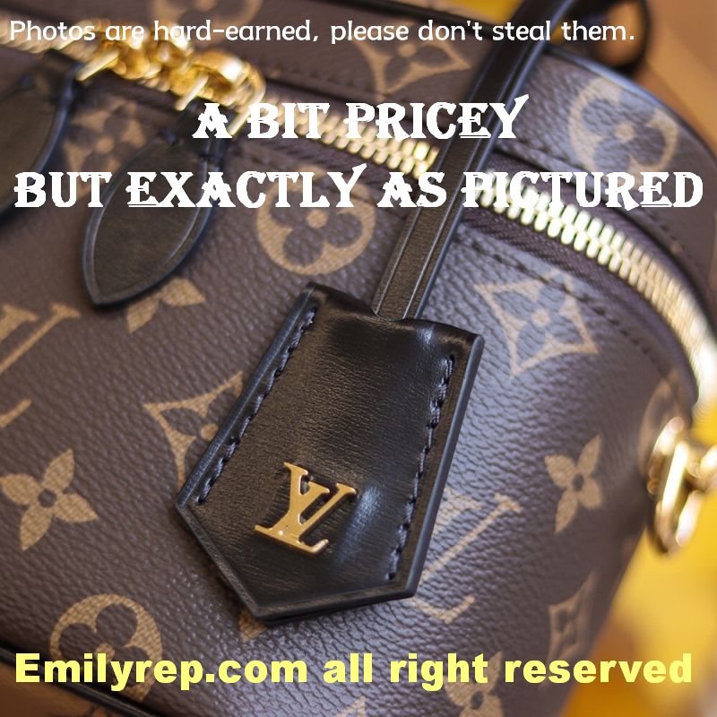 Louis Vuitton M45165 Vanity Pm Bag