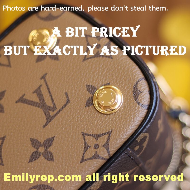Louis Vuitton M45165 Vanity Pm Bag