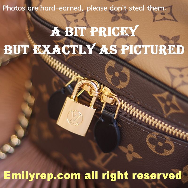 Louis Vuitton M45165 Vanity Pm Bag