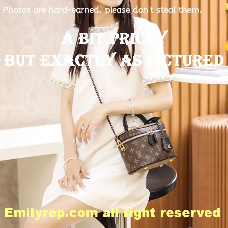 Louis Vuitton M45165 Vanity Pm Bag